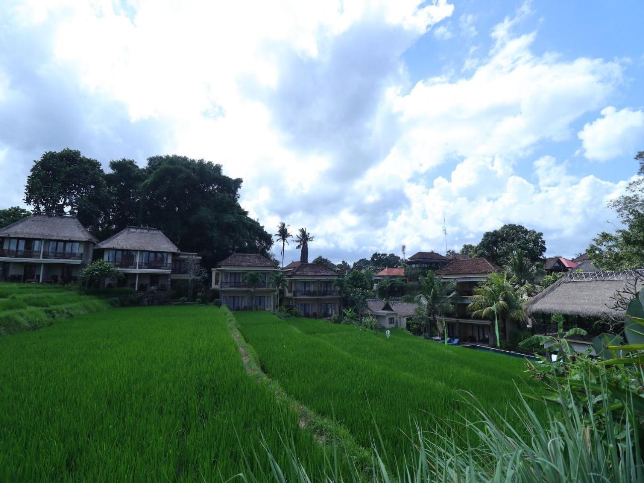 Biyukukung Suite & Spa Ubud Extérieur photo