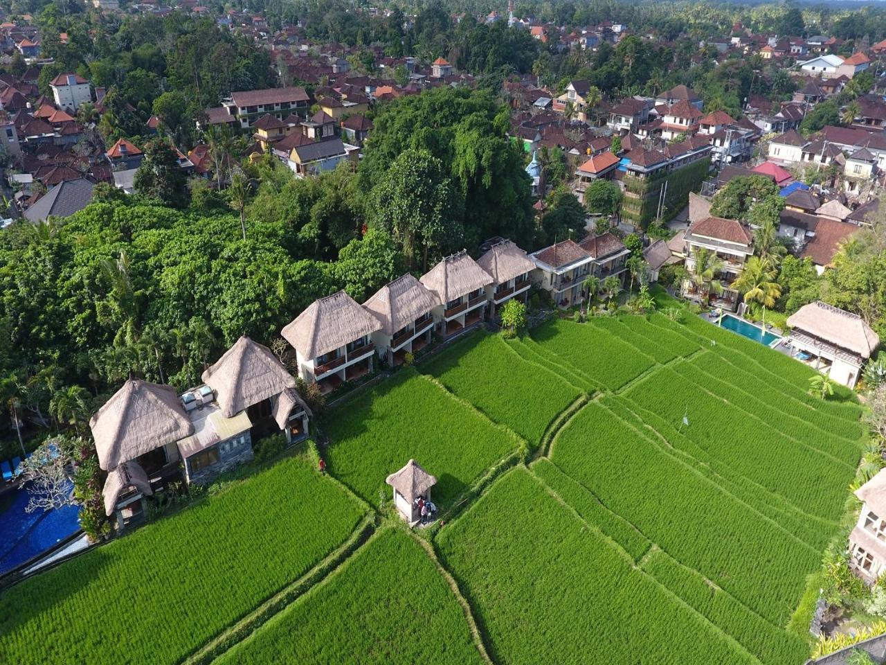 Biyukukung Suite & Spa Ubud Extérieur photo